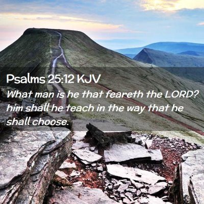 Picture 02 - Psalms 25:12 KJV - What man is he that feareth the LORD? him shall - Bible Verse Picture