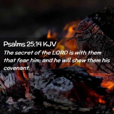 Picture 02 - Psalms 25:14 KJV - The secret of the LORD is with them that fear - Bible Verse Picture