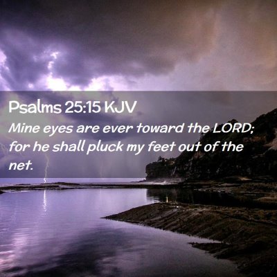 Picture 02 - Psalms 25:15 KJV - Mine eyes are ever toward the LORD; for he shall - Bible Verse Picture