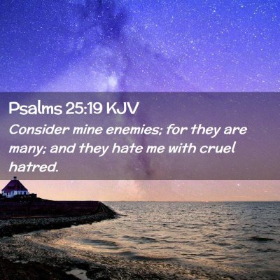 Picture 02 - Psalms 25:19 KJV - Consider mine enemies; for they are many; and - Bible Verse Picture