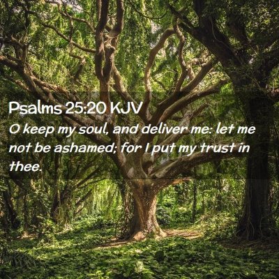 Picture 02 - Psalms 25:20 KJV - O keep my soul, and deliver me: let me not be - Bible Verse Picture