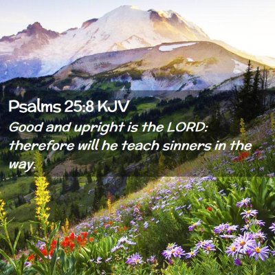 Picture 02 - Psalms 25:8 KJV - Good and upright is the LORD: therefore will he - Bible Verse Picture
