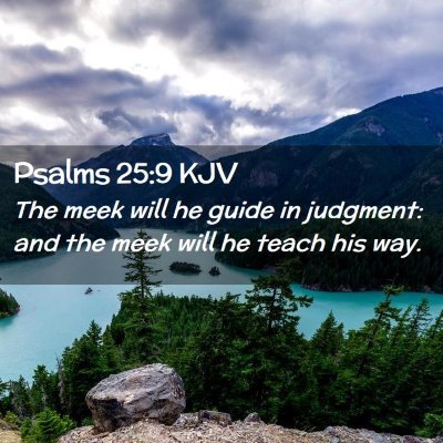 Picture 02 - Psalms 25:9 KJV - The meek will he guide in judgment: and the meek - Bible Verse Picture