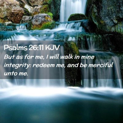 Picture 02 - Psalms 26:11 KJV - But as for me, I will walk in mine integrity: - Bible Verse Picture
