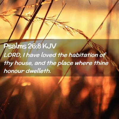 Picture 02 - Psalms 26:8 KJV - LORD, I have loved the habitation of thy house, - Bible Verse Picture