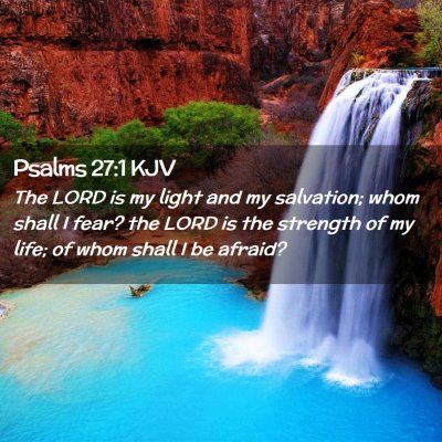 Picture 02 - Psalms 27:1 KJV - The LORD is my light and my salvation; whom shall - Bible Verse Picture