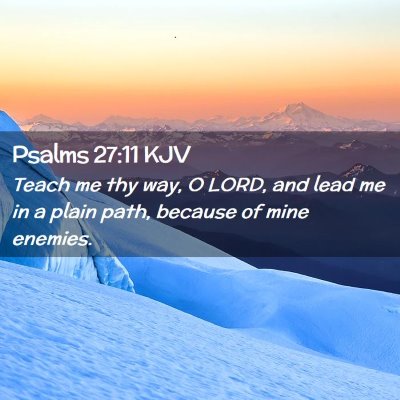 Picture 02 - Psalms 27:11 KJV - Teach me thy way, O LORD, and lead me in a plain - Bible Verse Picture