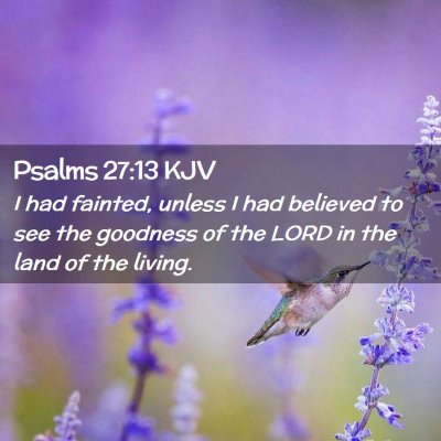 Picture 02 - Psalms 27:13 KJV - I had fainted, unless I had believed to see the - Bible Verse Picture