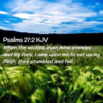 Picture 02 - Psalms 27:2 KJV - When the wicked, even mine enemies and my foes, - Bible Verse Picture