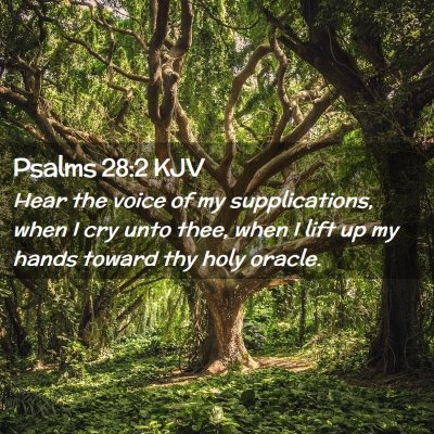 Picture 02 - Psalms 28:2 KJV - Hear the voice of my supplications, when I cry - Bible Verse Picture