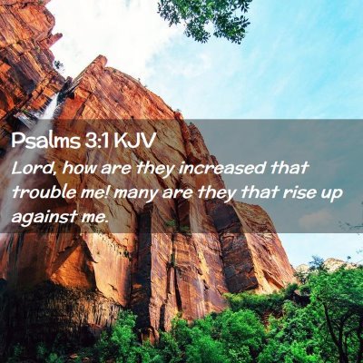 Picture 02 - Psalms 3:1 KJV - Lord, how are they increased that trouble me! - Bible Verse Picture