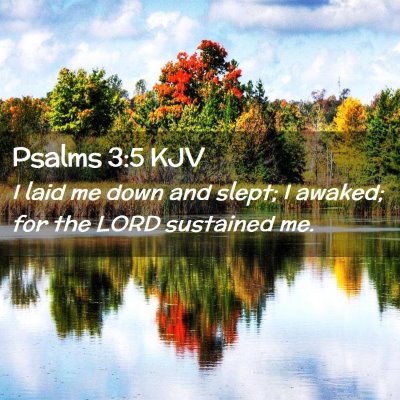 Picture 02 - Psalms 3:5 KJV - I laid me down and slept; I awaked; for the LORD - Bible Verse Picture