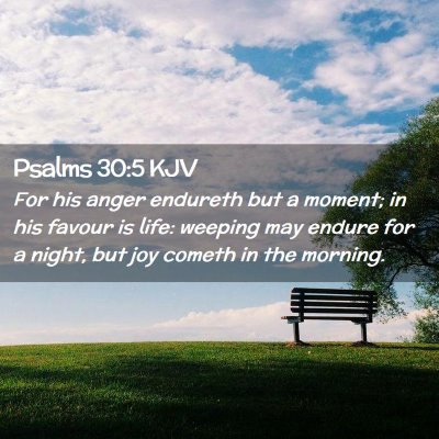 Picture 02 - Psalms 30:5 KJV - For his anger endureth but a moment; in his - Bible Verse Picture