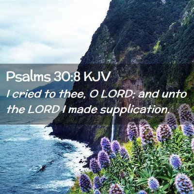 Picture 02 - Psalms 30:8 KJV - I cried to thee, O LORD; and unto the LORD I made - Bible Verse Picture