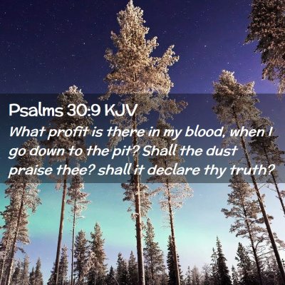 Picture 02 - Psalms 30:9 KJV - What profit is there in my blood, when I go down - Bible Verse Picture