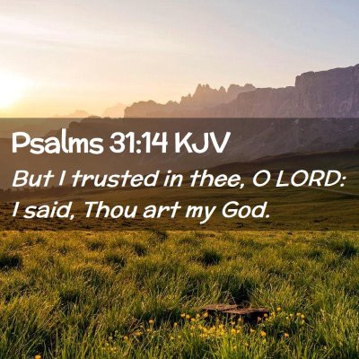 Picture 02 - Psalms 31:14 KJV - But I trusted in thee, O LORD: I said, Thou art - Bible Verse Picture