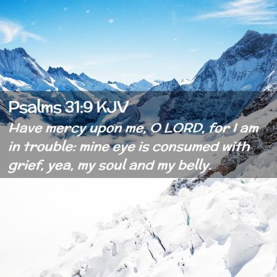 Picture 02 - Psalms 31:9 KJV - Have mercy upon me, O LORD, for I am in trouble: - Bible Verse Picture