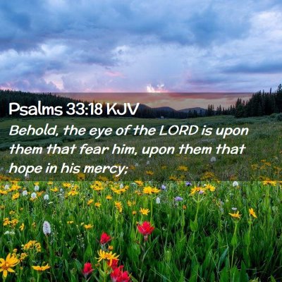 Picture 02 - Psalms 33:18 KJV - Behold, the eye of the LORD is upon them that - Bible Verse Picture