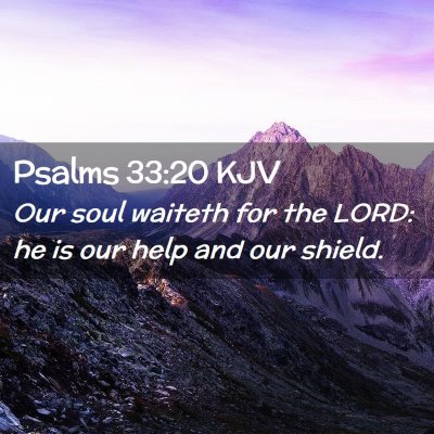 Picture 02 - Psalms 33:20 KJV - Our soul waiteth for the LORD: he is our help and - Bible Verse Picture