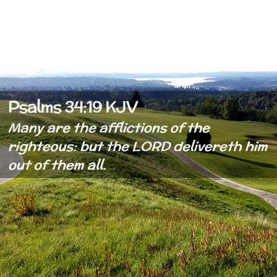Picture 02 - Psalms 34:19 KJV - Many are the afflictions of the righteous: but - Bible Verse Picture
