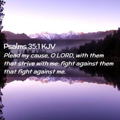 Picture 02 - Psalms 35:1 KJV - Plead my cause, O LORD, with them that strive - Bible Verse Picture