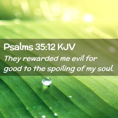 Picture 02 - Psalms 35:12 KJV - They rewarded me evil for good to the spoiling of - Bible Verse Picture