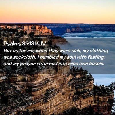 Picture 02 - Psalms 35:13 KJV - But as for me, when they were sick, my clothing - Bible Verse Picture