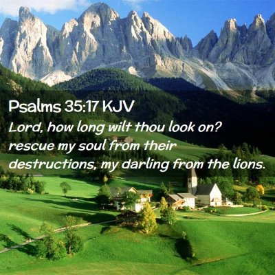 Picture 02 - Psalms 35:17 KJV - Lord, how long wilt thou look on? rescue my soul - Bible Verse Picture