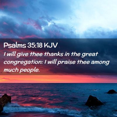 Picture 02 - Psalms 35:18 KJV - I will give thee thanks in the great - Bible Verse Picture