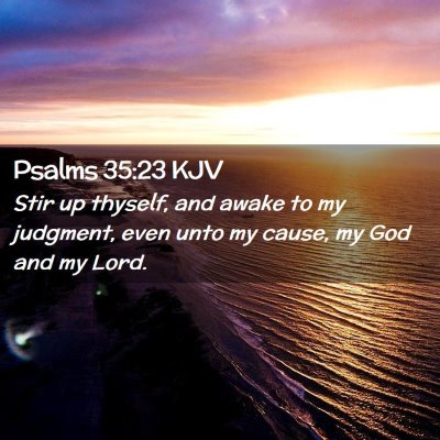 Picture 02 - Psalms 35:23 KJV - Stir up thyself, and awake to my judgment, even - Bible Verse Picture