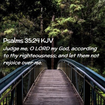 Picture 02 - Psalms 35:24 KJV - Judge me, O LORD my God, according to thy - Bible Verse Picture