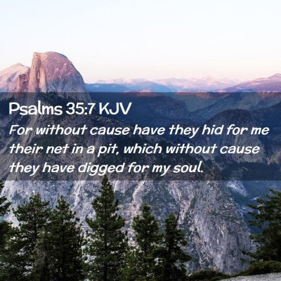 Picture 02 - Psalms 35:7 KJV - For without cause have they hid for me their net - Bible Verse Picture