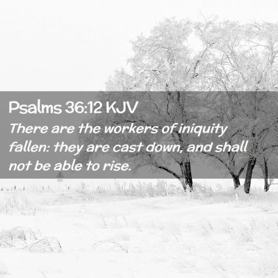 Picture 02 - Psalms 36:12 KJV - There are the workers of iniquity fallen: they - Bible Verse Picture