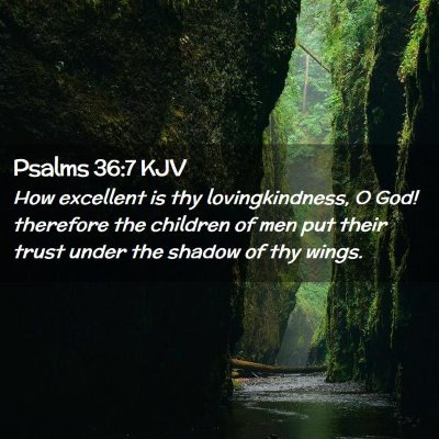 Picture 02 - Psalms 36:7 KJV - How excellent is thy lovingkindness, O God! - Bible Verse Picture