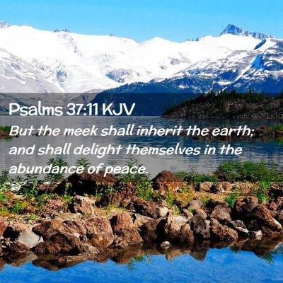 Picture 02 - Psalms 37:11 KJV - But the meek shall inherit the earth; and shall - Bible Verse Picture
