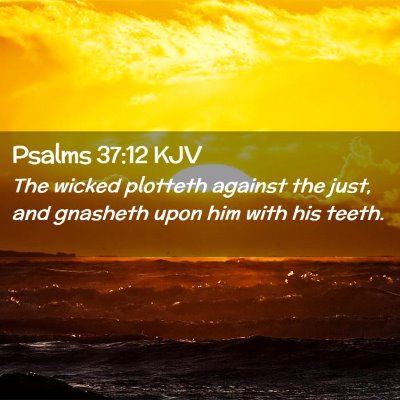 Picture 02 - Psalms 37:12 KJV - The wicked plotteth against the just, and - Bible Verse Picture