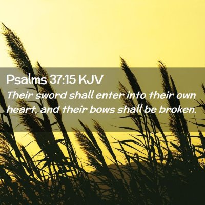 Picture 02 - Psalms 37:15 KJV - Their sword shall enter into their own heart, and - Bible Verse Picture