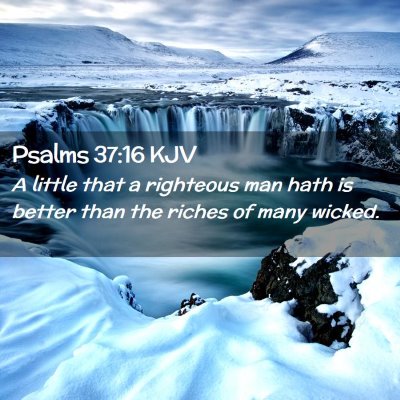 Picture 02 - Psalms 37:16 KJV - A little that a righteous man hath is better than - Bible Verse Picture