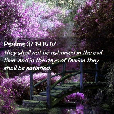 Picture 02 - Psalms 37:19 KJV - They shall not be ashamed in the evil time: and - Bible Verse Picture