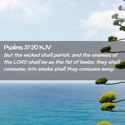 Picture 02 - Psalms 37:20 KJV - But the wicked shall perish, and the enemies of - Bible Verse Picture