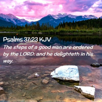 Picture 02 - Psalms 37:23 KJV - The steps of a good man are ordered by the LORD: - Bible Verse Picture