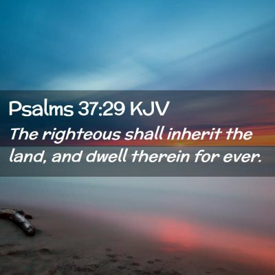 Picture 02 - Psalms 37:29 KJV - The righteous shall inherit the land, and dwell - Bible Verse Picture