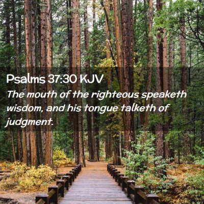Picture 02 - Psalms 37:30 KJV - The mouth of the righteous speaketh wisdom, and - Bible Verse Picture