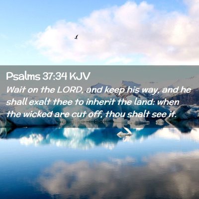Picture 02 - Psalms 37:34 KJV - Wait on the LORD, and keep his way, and he shall - Bible Verse Picture