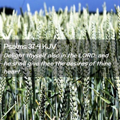 Picture 02 - Psalms 37:4 KJV - Delight thyself also in the LORD: and he shall - Bible Verse Picture