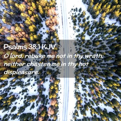 Picture 02 - Psalms 38:1 KJV - O lord, rebuke me not in thy wrath: neither - Bible Verse Picture