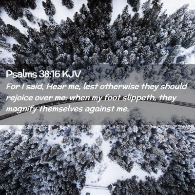 Picture 02 - Psalms 38:16 KJV - For I said, Hear me, lest otherwise they should - Bible Verse Picture