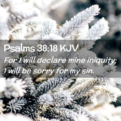 Picture 02 - Psalms 38:18 KJV - For I will declare mine iniquity; I will be sorry - Bible Verse Picture