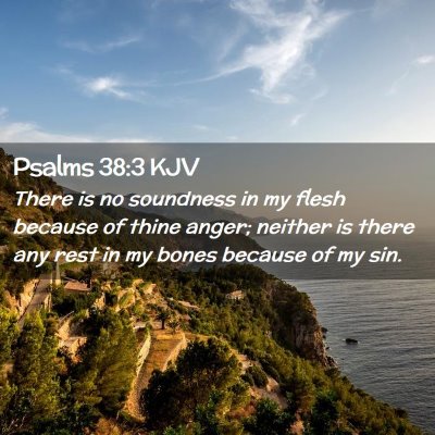 Picture 02 - Psalms 38:3 KJV - There is no soundness in my flesh because of - Bible Verse Picture