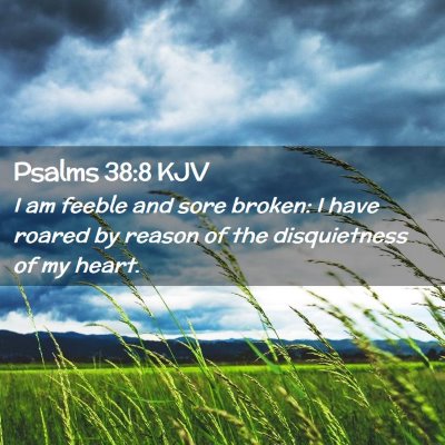 Picture 02 - Psalms 38:8 KJV - I am feeble and sore broken: I have roared by - Bible Verse Picture
